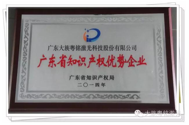 Nowadays, according to the work promotion arrangements of provincial top brand product,   GD Han’s Yueming Laser Group Co., Ltd（The fellow is called Han’s Yueming Group）through the city audit checks, public declaration data, 
