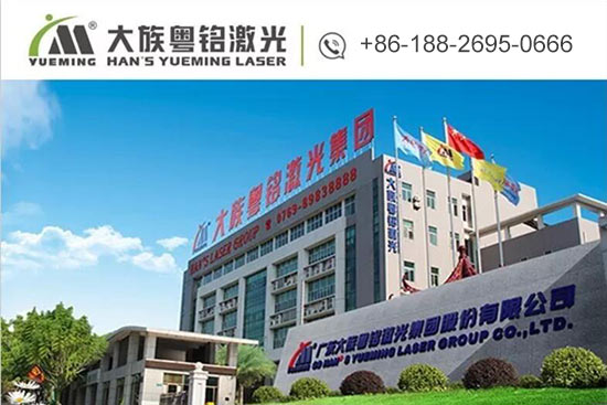Han's Yueming Laser Group