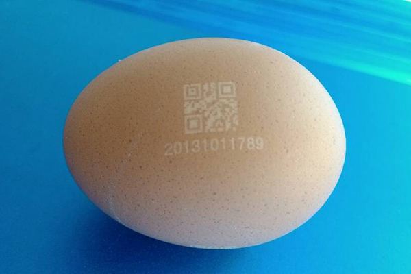 Eggs laser marking qr code production date